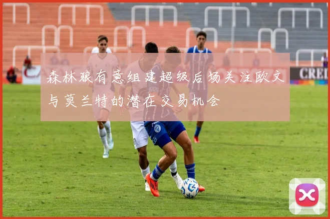 森林狼有意组建超级后场关注欧文与莫兰特的潜在交易机会