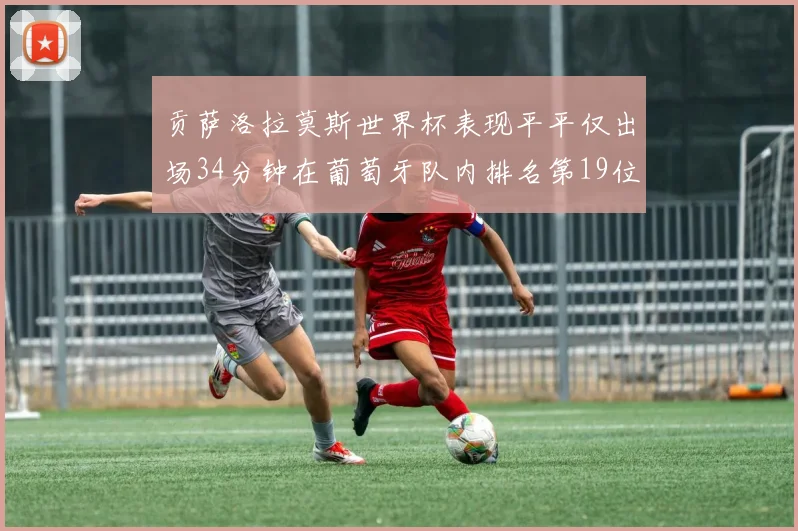贡萨洛拉莫斯世界杯表现平平仅出场34分钟在葡萄牙队内排名第19位