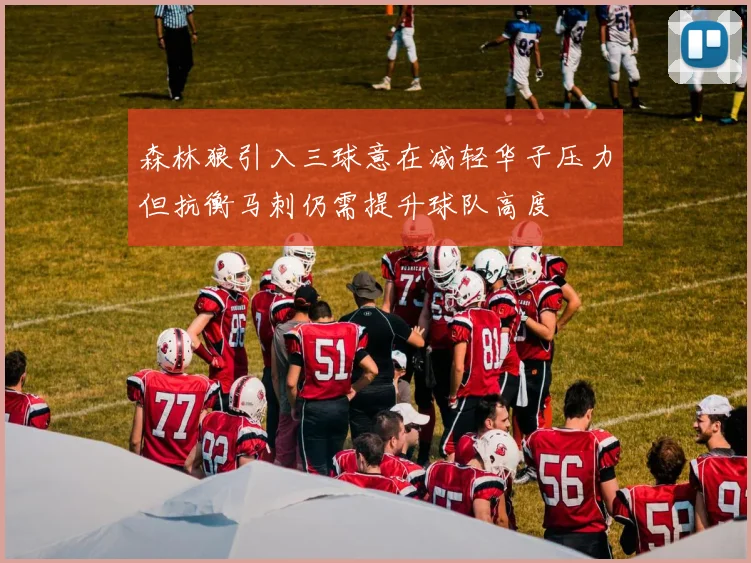 森林狼引入三球意在减轻华子压力但抗衡马刺仍需提升球队高度
